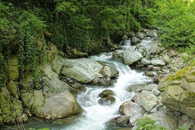 Lagodekhi - A day hiking from Tbilisi - Frequently Asked Questions (FAQ)