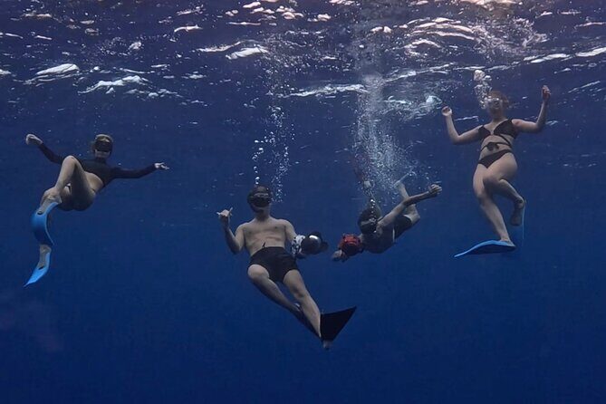 Lagoon and Marine Wildlife Tour in Moorea - The Itinerary: What to Expect