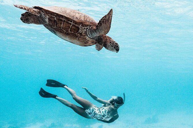 Lagoon and Wildlife Discovery on a Private Boat in Moorea - Authentic Reviews and Their Insights