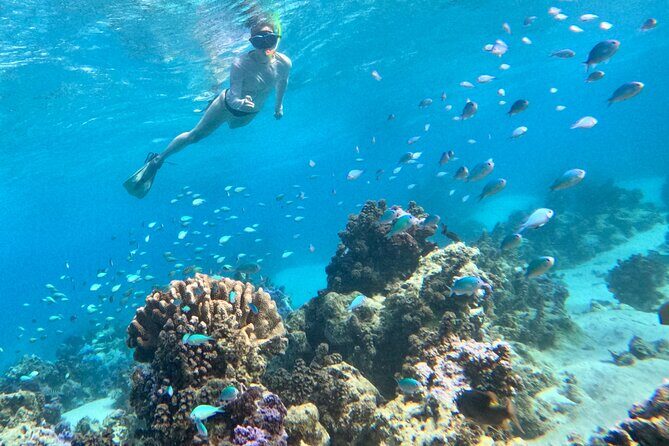 Lagoon and Wildlife Discovery on a Private Boat in Moorea - Frequently Asked Questions