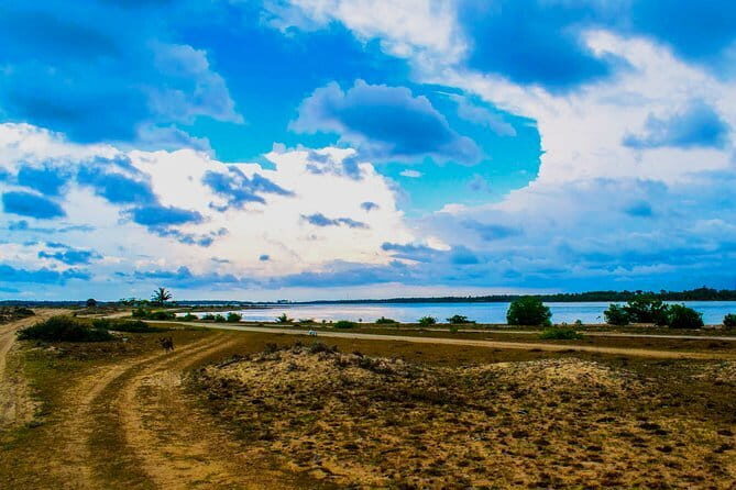 Lagoon Boat Tour from Kalpitiya - Practical Tips & Considerations