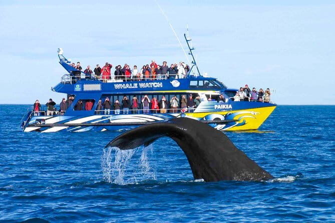 Lagoon Boat Tour from Kalpitiya - The Sum Up
