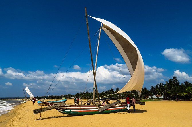 Lagoon Escapes Negombo Day Trip - Final Thoughts