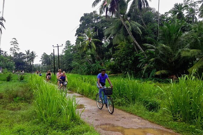 Lagoon Village by Bicycle from Galle - What We Loved About the Tour