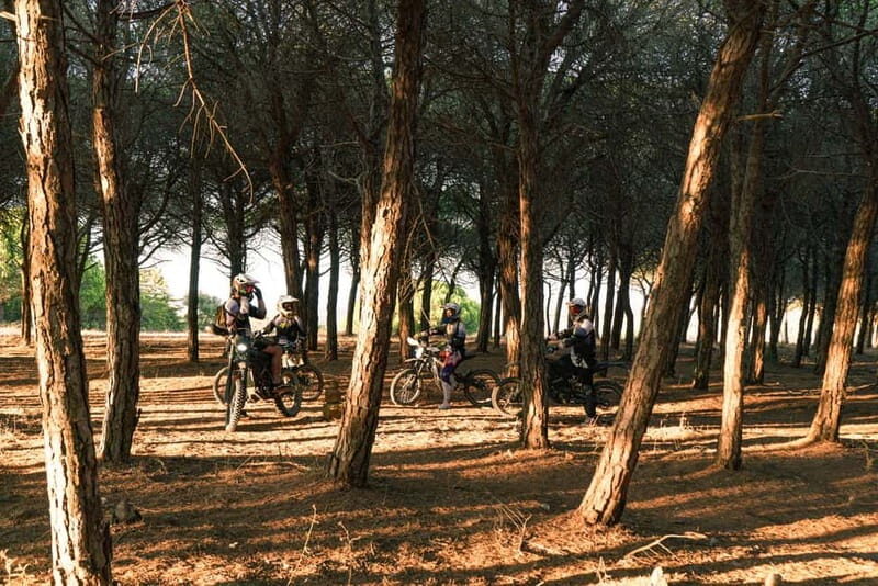 Lagos, Algarve: Adventure Tours on Surron Electric Dirtbikes - Key Points