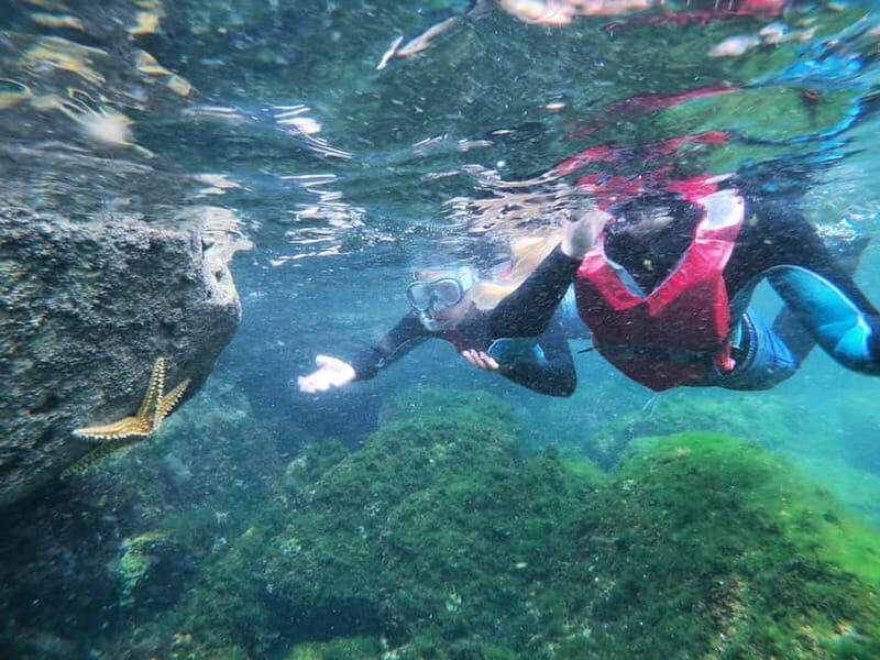 Lagos: Algarve Coasteering and Snorkeling Adventure - The Value of the Experience