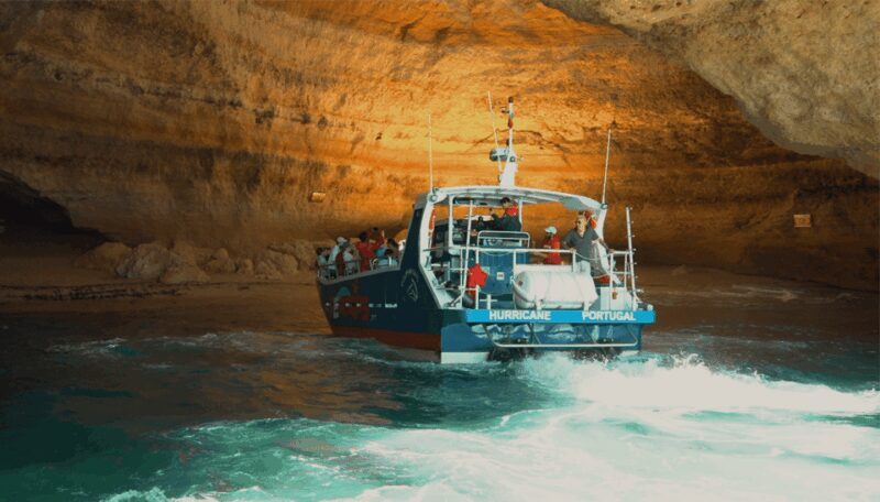 Lagos: Dolphin & Benagil Tour with Marine Biologist - Key Points