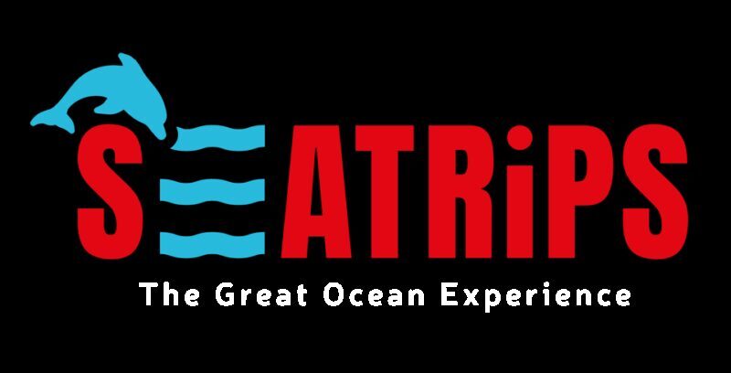 Lagos: Dolphin & Benagil Tour with Marine Biologist - Why This Tour Is Worth Considering