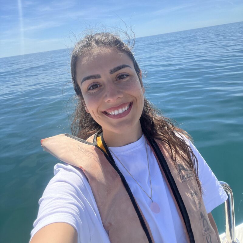 Lagos: Dolphin Watch Tour with Professional Marine Biologist - The Experience: What You Can Expect