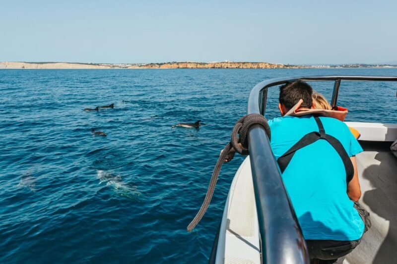Lagos: Dolphin Watch Tour with Professional Marine Biologist - What Could Be Improved?