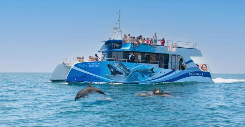 Lagos: Dolphin Watching Half-Day Cruise & Water Activities - Water Activities and Onboard Fun