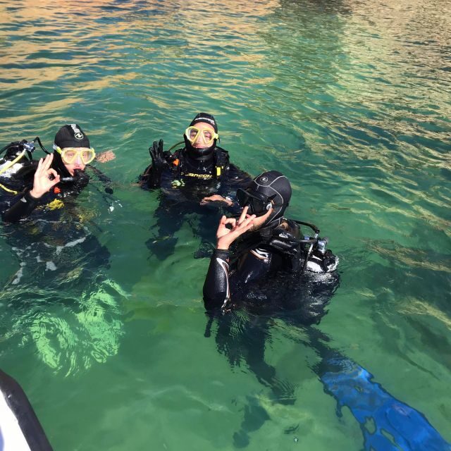 Lagos: Guided Scuba Diving Trip for Beginners - Final Thoughts — Who Should Consider This Tour?