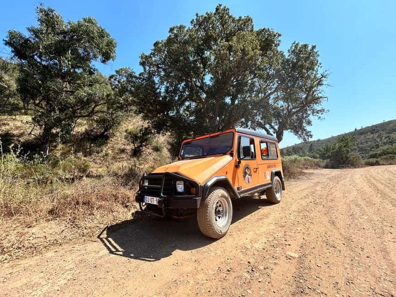 Lagos: Party - UMM Safari-Beer-Tour to the West-Coast - Key Points