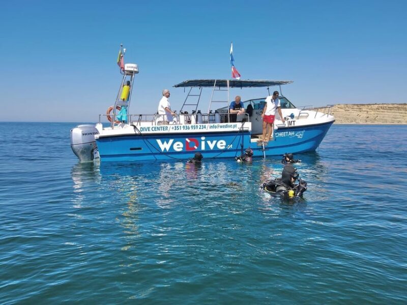 Lagos: Scuba Diving Experience for Beginners - What to Expect from the Lagos Beginner Scuba Experience