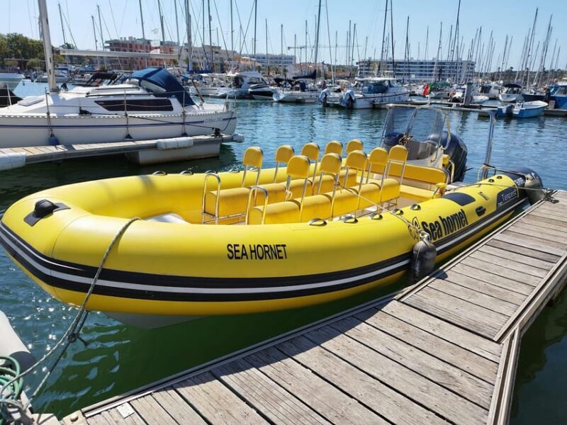 Lagos: Sunrise at Benagil Cave - A magical morning - What to Expect During Your 2-Hour Tour