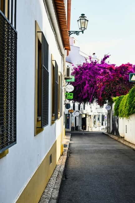 Lagos to Sagres Coastline & City Private Guided Tour - Introduction: A Scenic and Cultural Journey