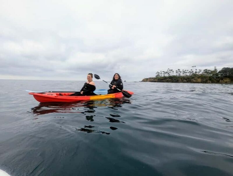 Laguna Beach: Ocean Kayak Private Tour with Guide - What’s in Store During the Laguna Beach Kayak Tour?