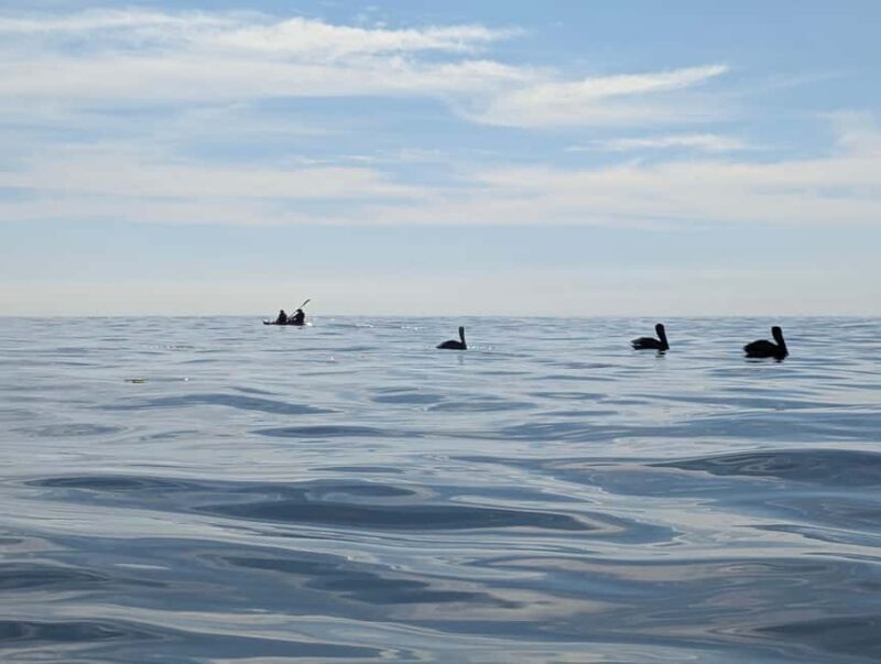 Laguna Beach: Ocean Kayak Private Tour with Guide - FAQ