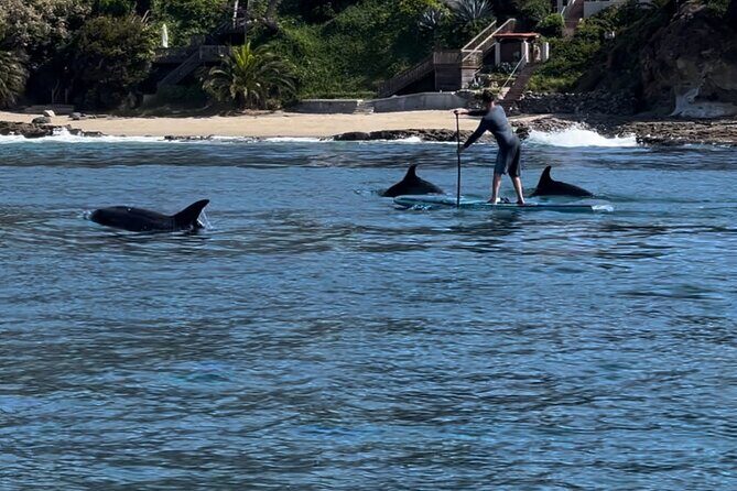 Laguna Beach Stand Up Paddle Activity - A Detailed Look at the Laguna Beach SUP Tour