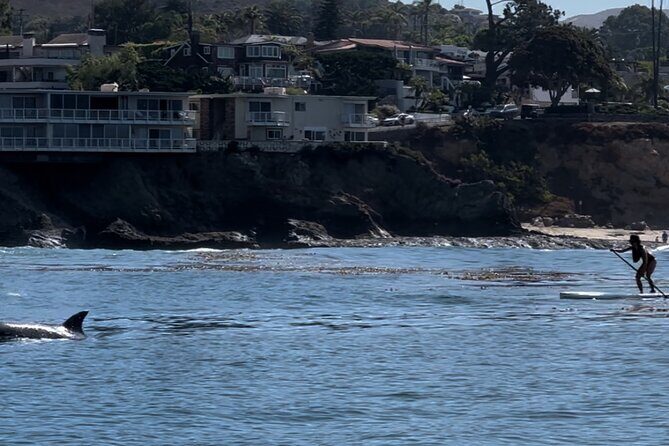 Laguna Beach Stand Up Paddle Activity - Why This Tour Is Worth Considering