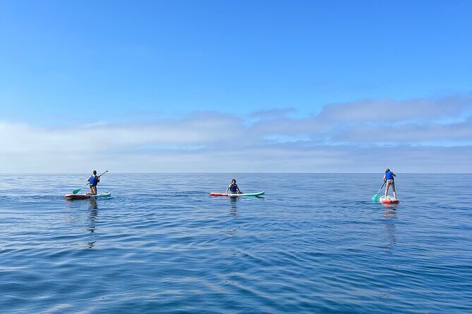 Laguna Beach Stand Up Paddle Activity - FAQs
