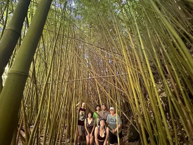 Lahaina-Kapalua: VIP Private Full-Day Road to Hana Tour - Discovering Maui’s Hidden Treasures in Privacy