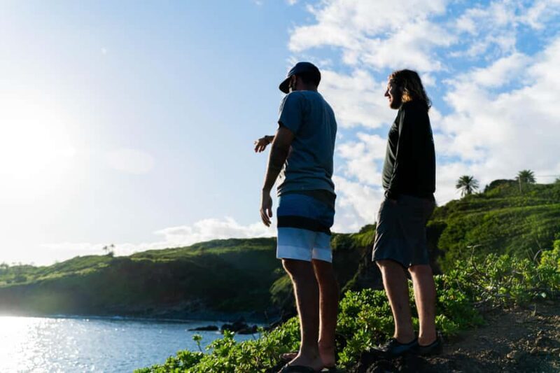 Lahaina-Kapalua: VIP Private Full-Day Road to Hana Tour - Final Thoughts: Is This Tour Right For You?