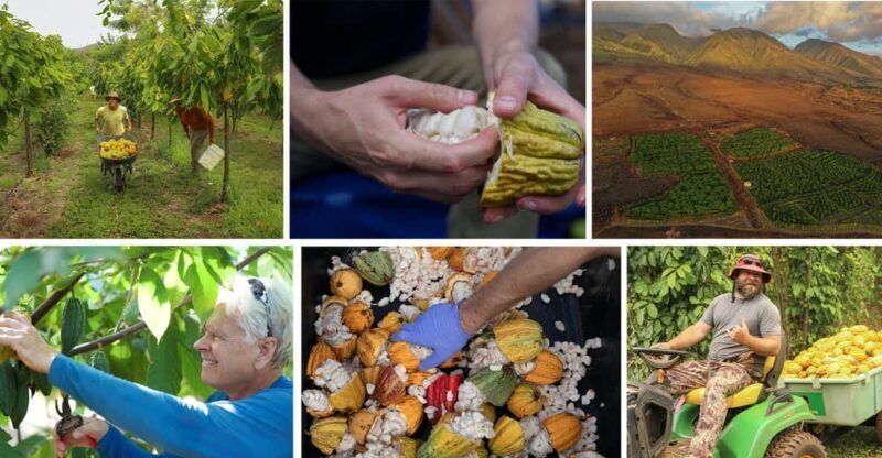 Lahaina: Maui Ku'ia Estate Guided Cacao Farm Tour & Tasting - FAQ