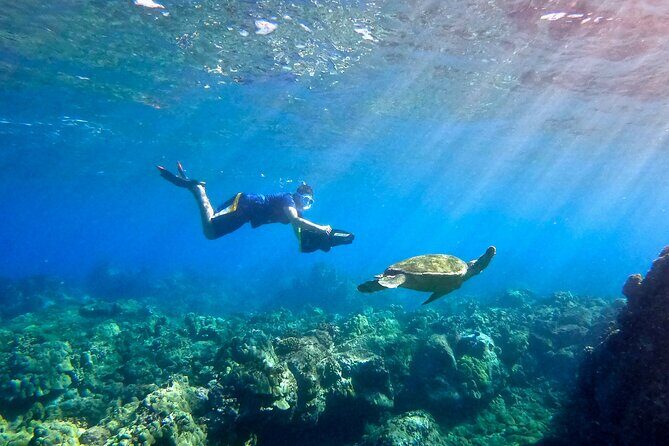 Lahaina Small Group Snorkeling Adventure - Key Points