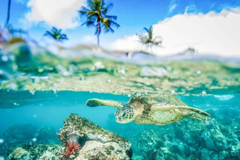 Lahaina: Stand Up Paddleboard Lesson - Final Thoughts