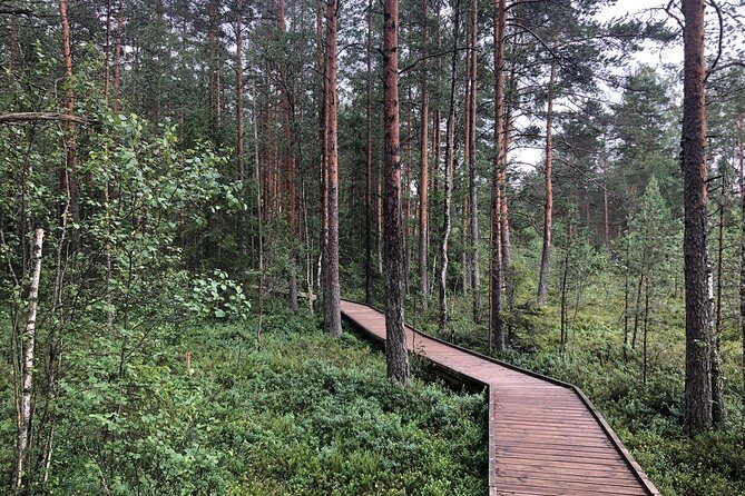 Lahemaa national park in Estonia - Guides and Authenticity