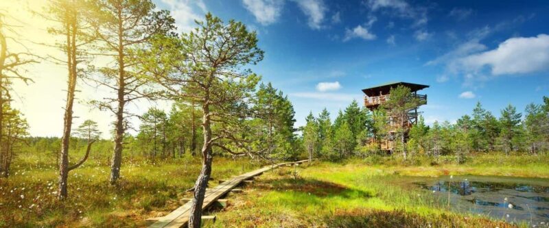 Lahemaa: VIP Tour to Estonias Oldest National Park - Exploring Lahemaa National Park: Nature and Culture in One Day