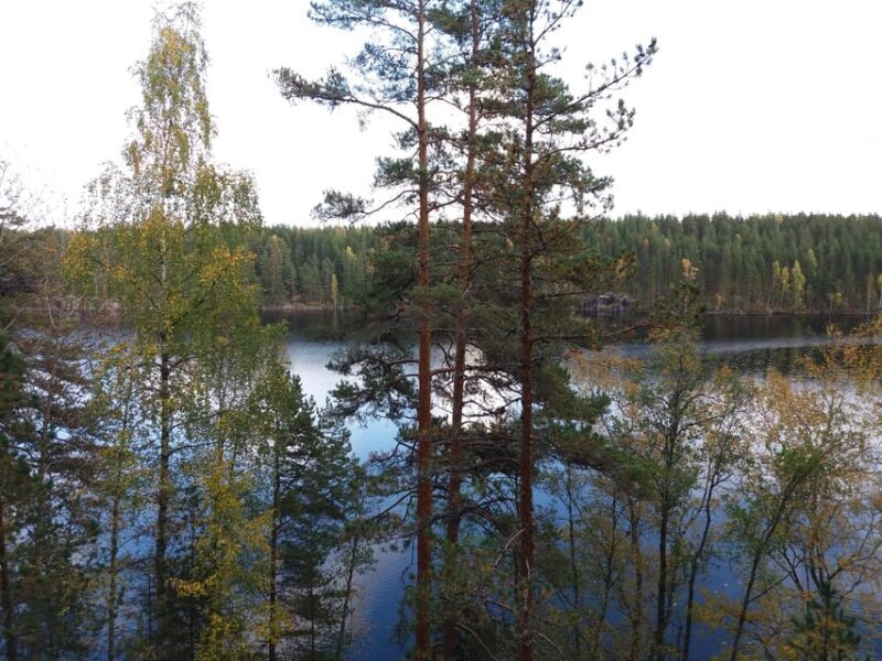 Lahti: Guided Hiking Tour to Kalliojärvi Lake - Why This Tour Offers Great Value