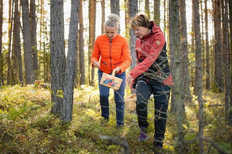 Lahti: Wild Food Foraging Tour with Tastings - Exploring the Wild Flavors of Finland: Lahti’s Food Foraging Tour