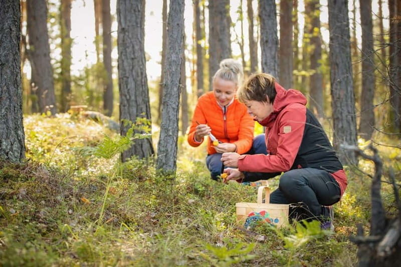 Lahti: Wild Food Foraging Tour with Tastings - The Setting: Finnish Nature’s Seasonal Symphony