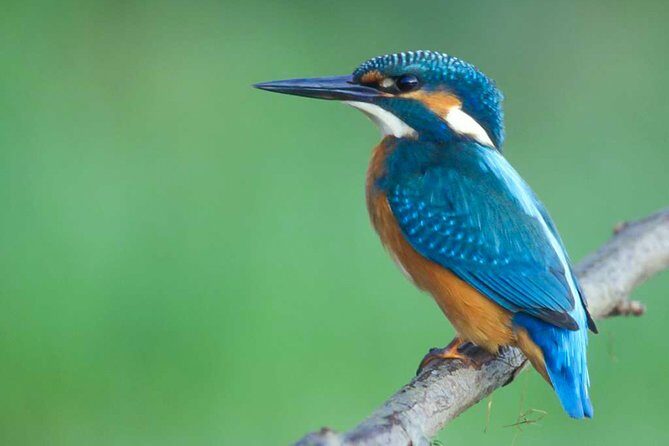 Lahugala Kitulana National Park Private Safari - What Makes This Safari Stand Out?