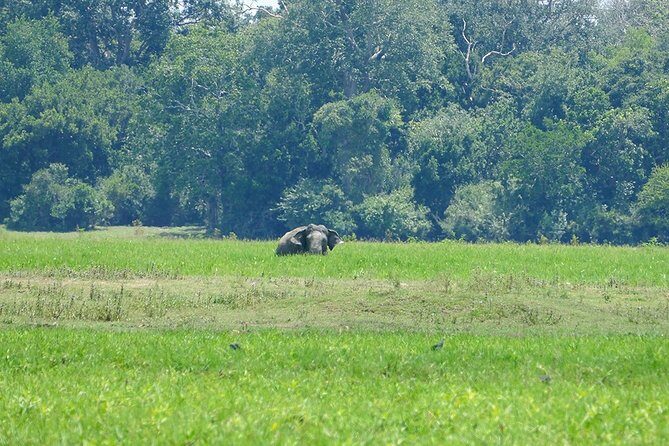 Lahugala Kitulana National Park Private Safari - The Sum Up