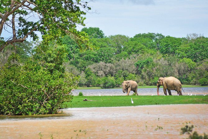 Lahugala Kitulana National Park Private Safari - FAQ