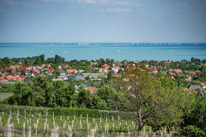 Lake Balaton Full Day Private Wine Tour - How the Tour Adds Value