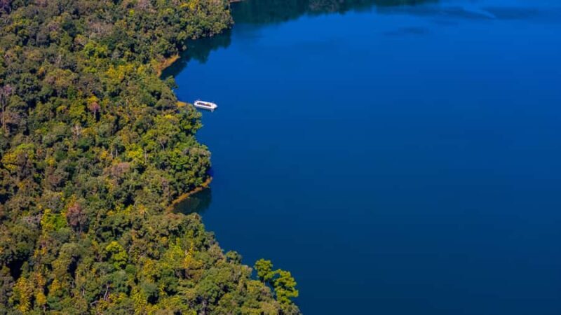 Lake Barrine Boat Cruise  Discover Queenslands Hidden Gem - What to Expect from the Tour