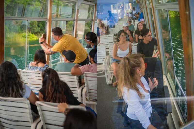 Lake Barrine Boat Cruise  Discover Queenslands Hidden Gem - The Sum Up