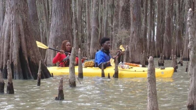 Lake Charlotte Flooded Cypress Forest | Eco Wonderland Tour - Who Should Consider This Tour?