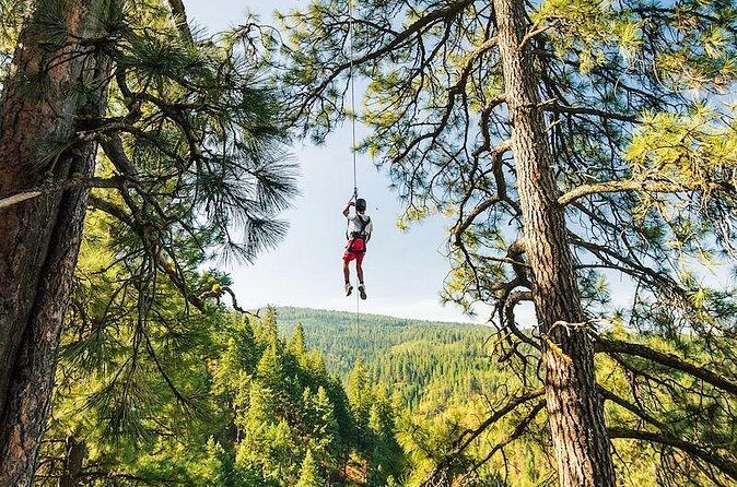 Lake Coeur d'Alene Zipline Tour - The Sum Up