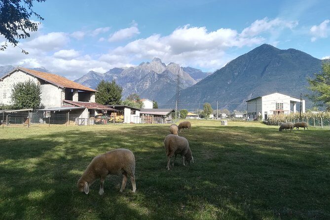 LAKE COMO BIKE TOUR Colico/Domaso - FAQ