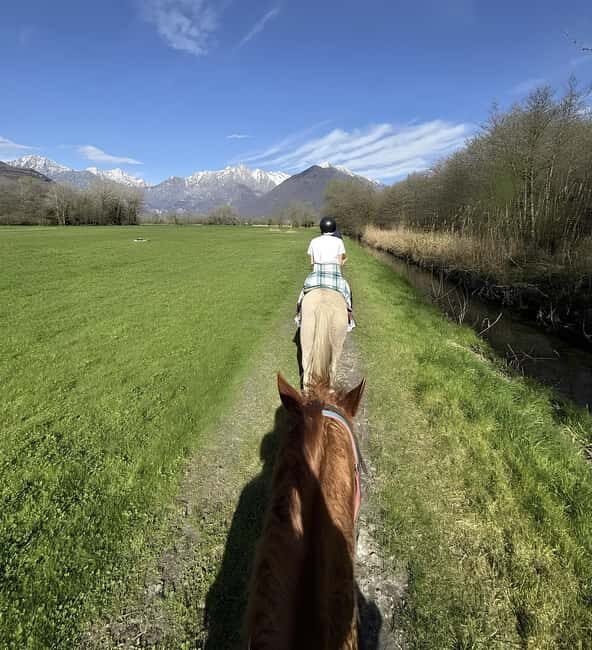 Lake Como: Horseback Riding Tour from Colico - Key Points