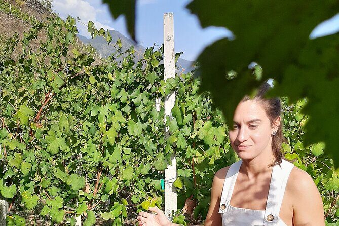 Lake Como & UNESCO Dry-stone Walls Vineyards - FAQ