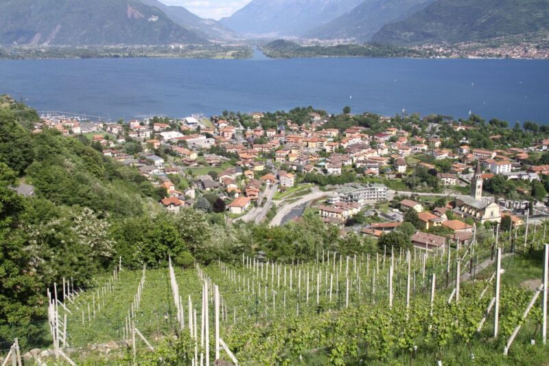 Lake Como: Winery Tour with Wine Tasting - Lake Como: Winery Tour with Wine Tasting – A Full Breakdown