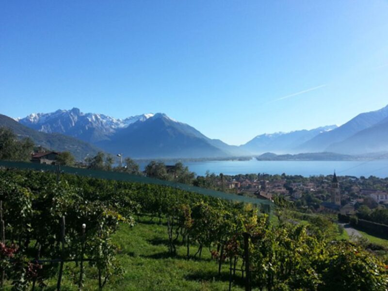 Lake Como: Winery Tour with Wine Tasting - The Sum Up