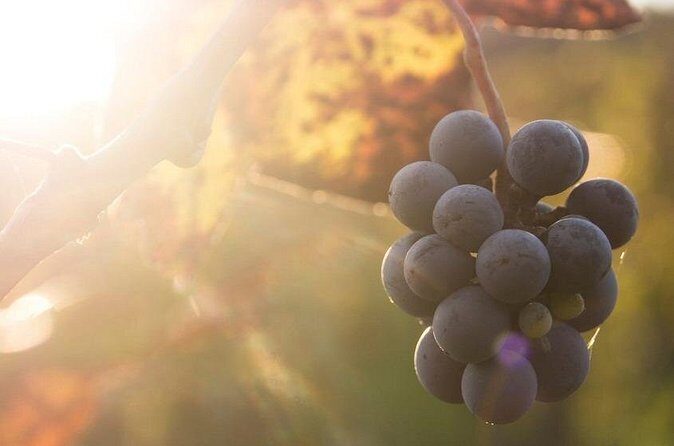 Lake Country Casual Experience - The Itinerary in Detail