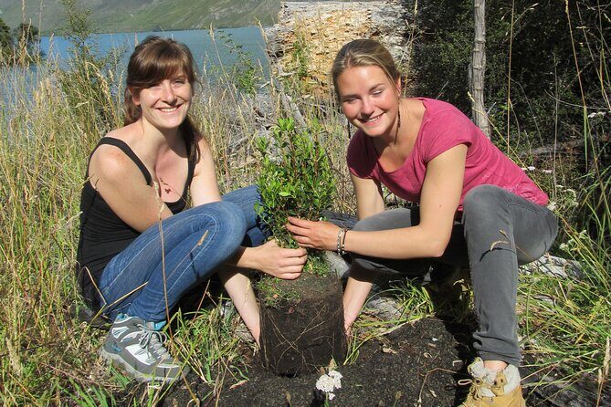 Lake Cruise & Mou Waho Island Nature Walk - Key Points